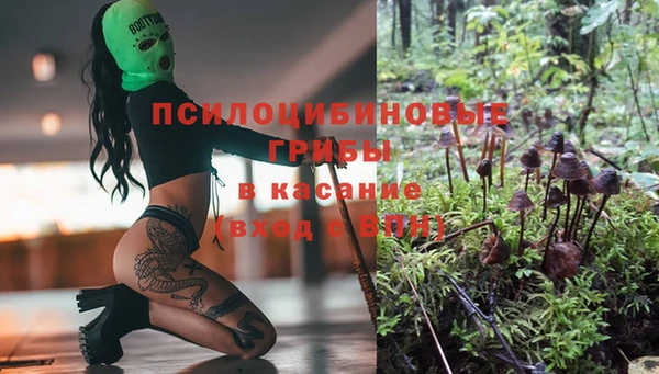 apvp Абинск