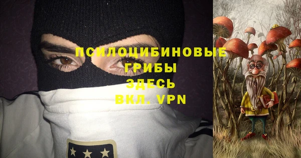 спиды Абаза