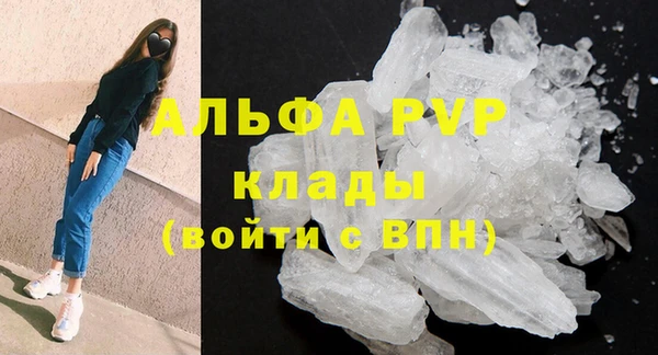 спиды Абаза